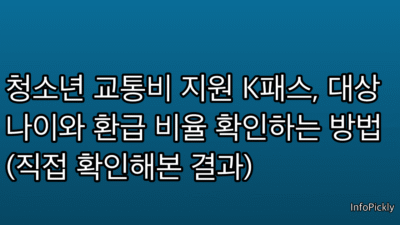 청소년 교통비 지원 K패스, 대상 나이와 환급 비율 확인하는 방법 (직접 확인해본 결과)